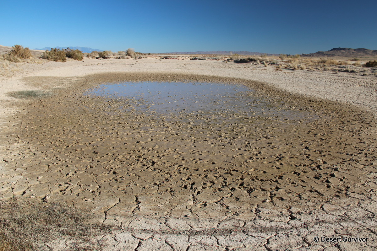The miracle of Zamzam water